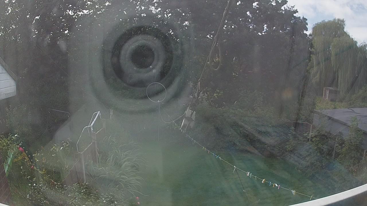 20260923_113652_cam1.jpg