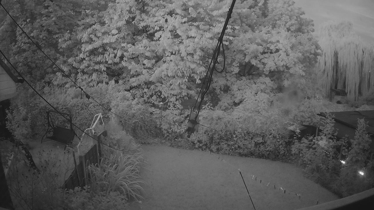 20260924_053105_cam1.jpg