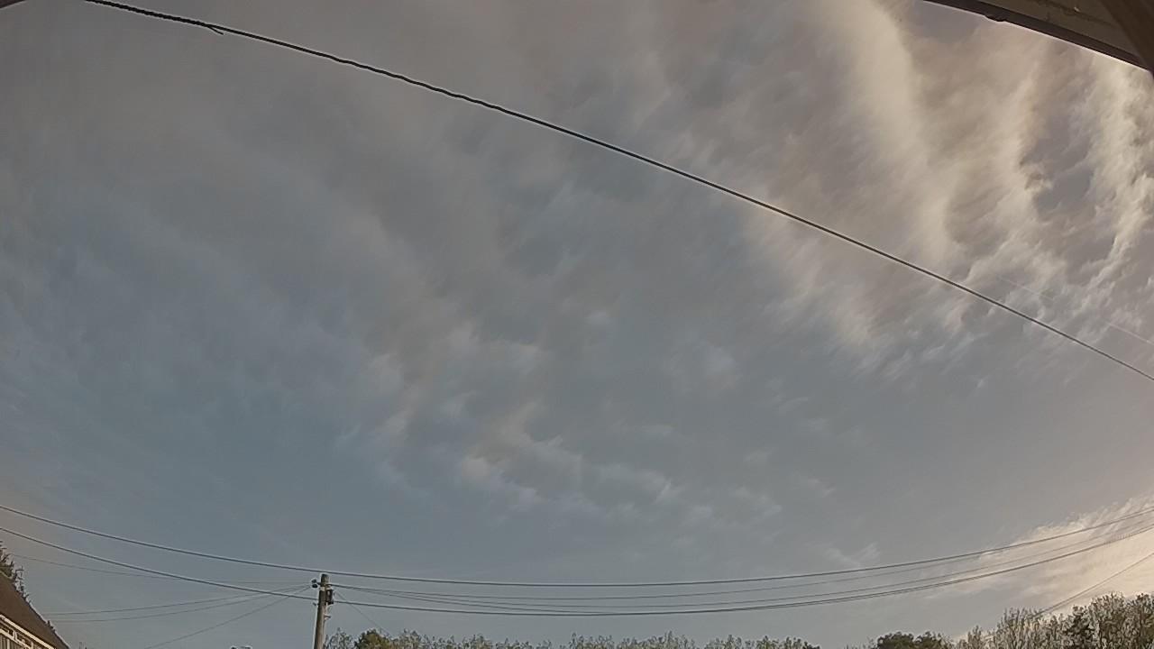 20260924_080423_cam2.jpg