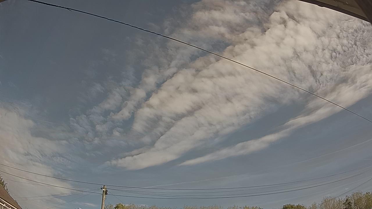 20260924_094746_cam2.jpg