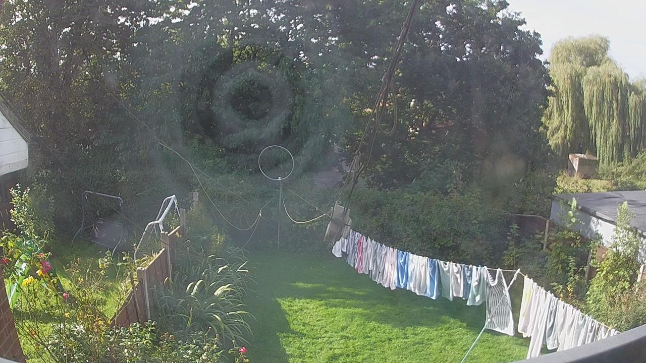 20260924_095145_cam1.jpg