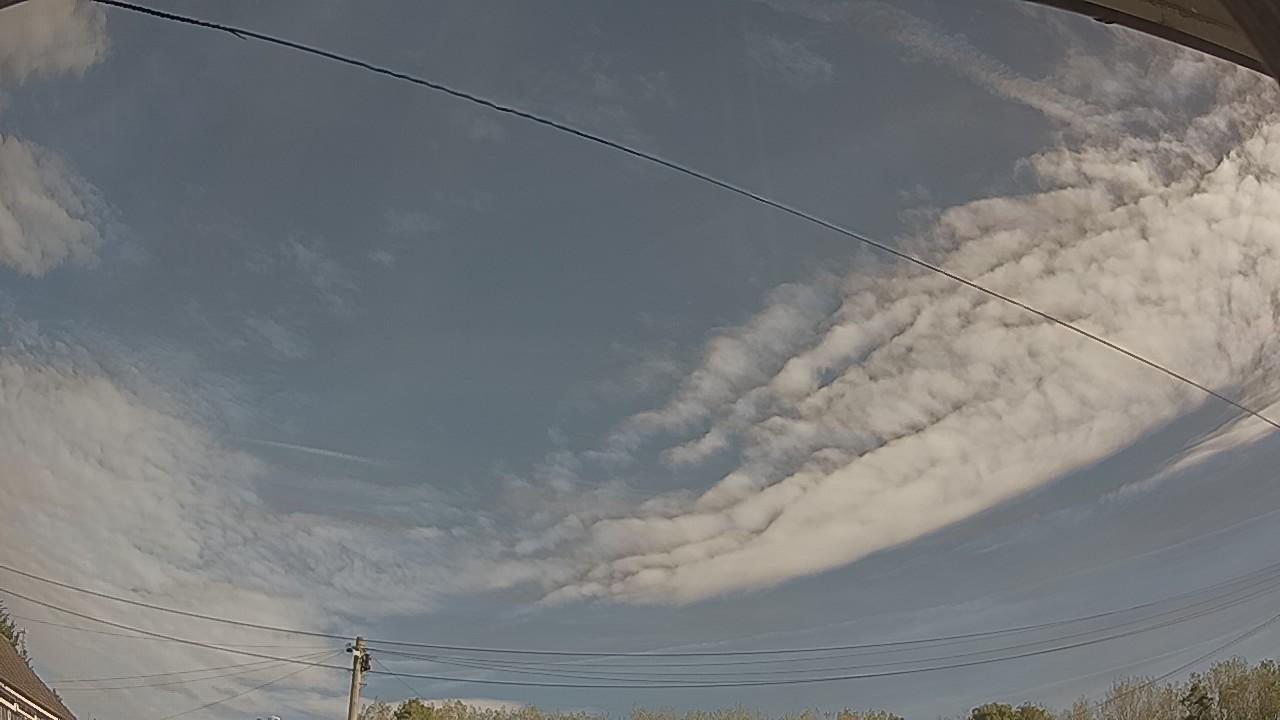 20260924_095146_cam2.jpg