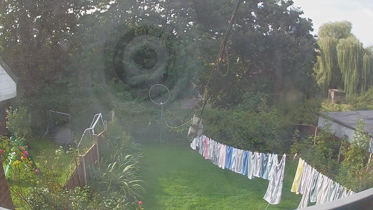 20260924_100404_cam1.jpg