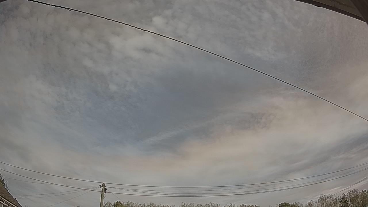 20260924_110103_cam2.jpg