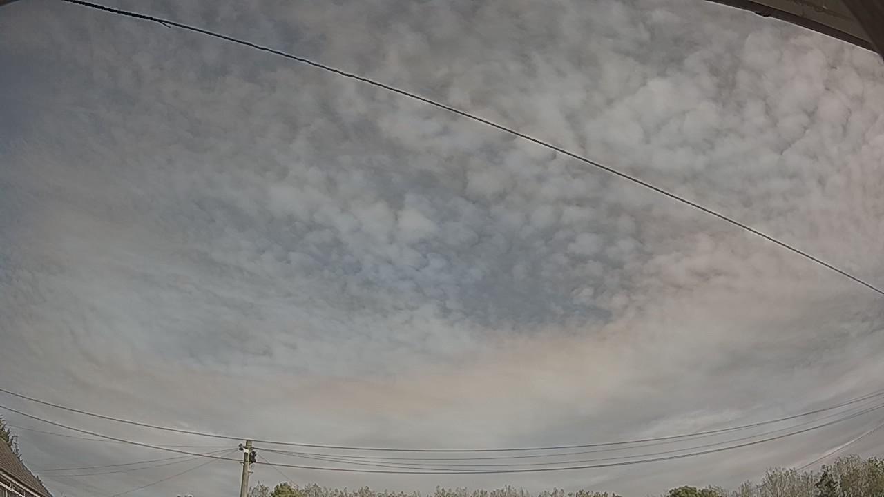 20260924_110511_cam2.jpg