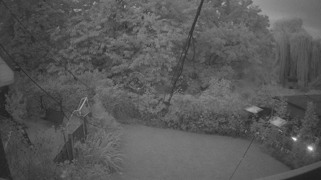 20260925_052646_cam1.jpg