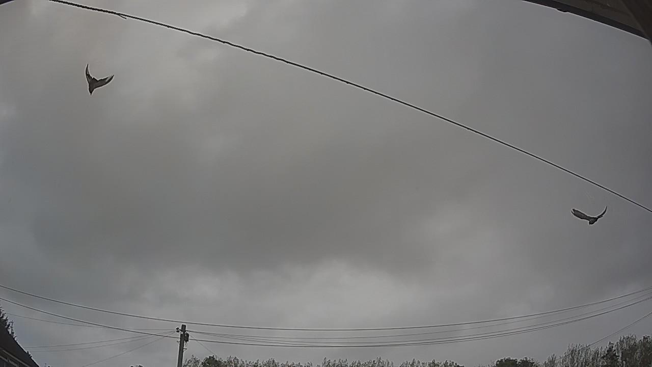 20260925_090741_cam2.jpg