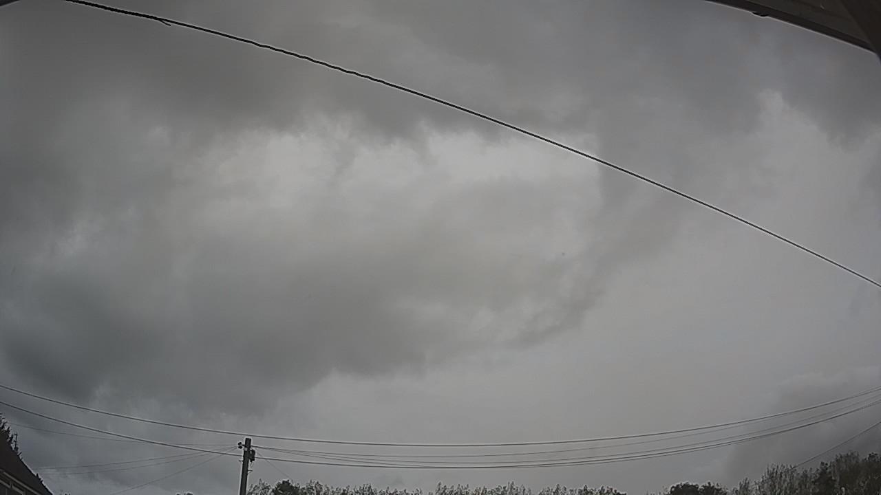 20260925_110635_cam2.jpg