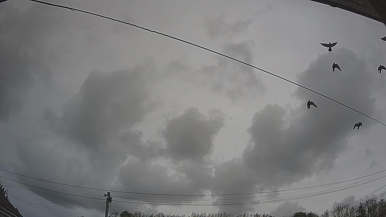 20260925_150939_cam2.jpg