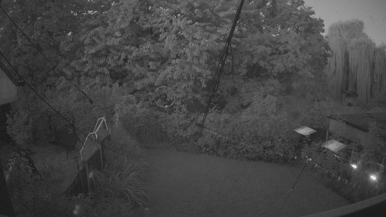 20260926_052713_cam1.jpg