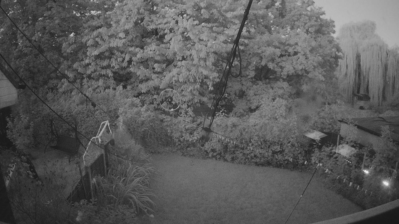 20260926_053148_cam1.jpg