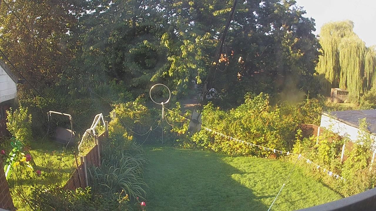 20260926_080014_cam1.jpg