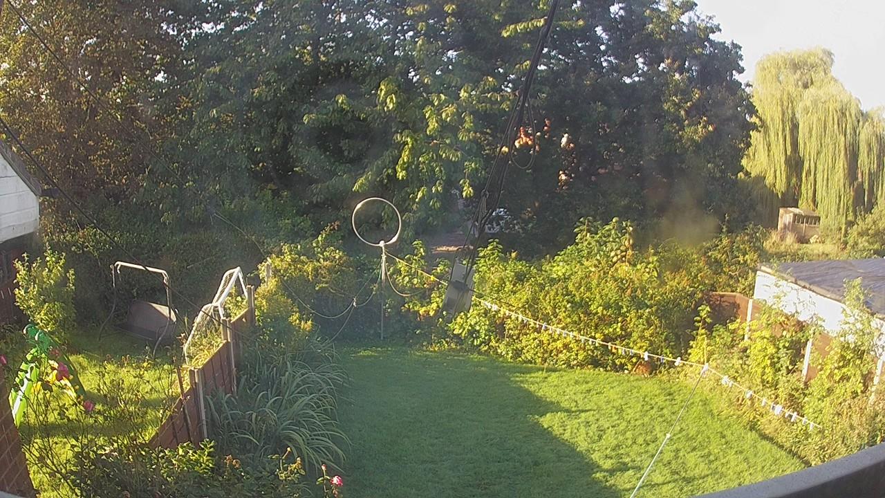 20260926_080434_cam1.jpg