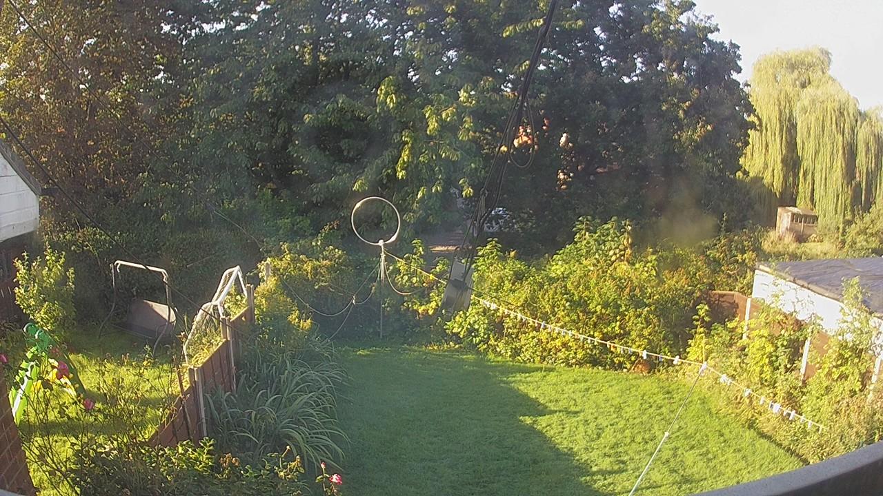 20260926_080855_cam1.jpg