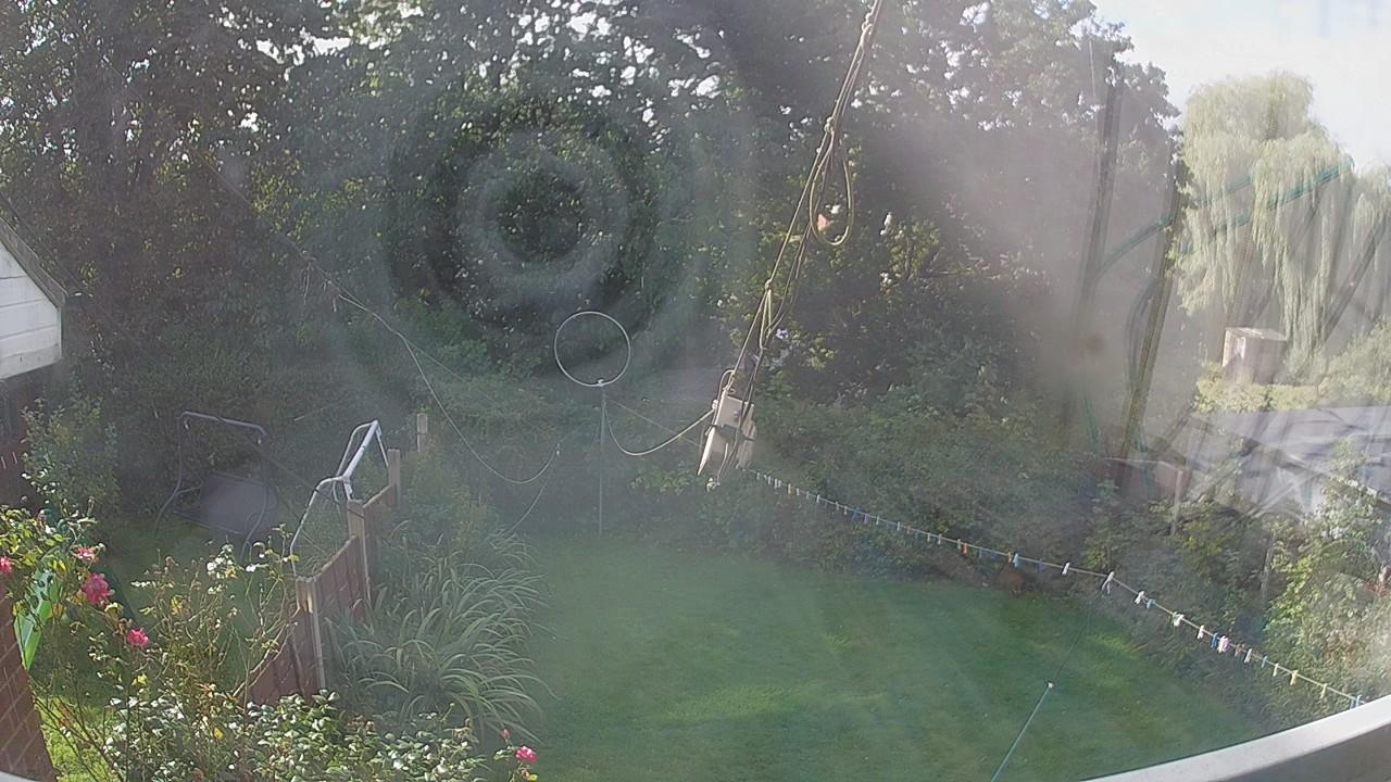 20260926_110131_cam1.jpg