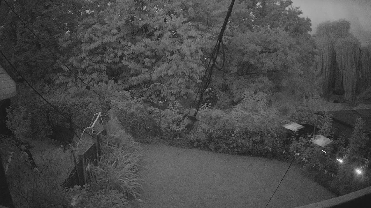 20260927_053528_cam1.jpg