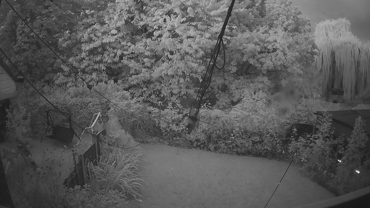 20260927_055210_cam1.jpg