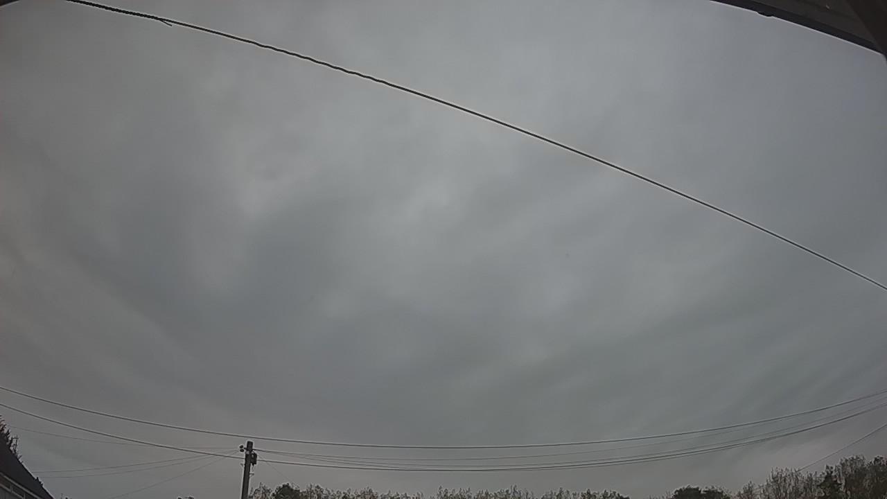 20260927_061305_cam2.jpg