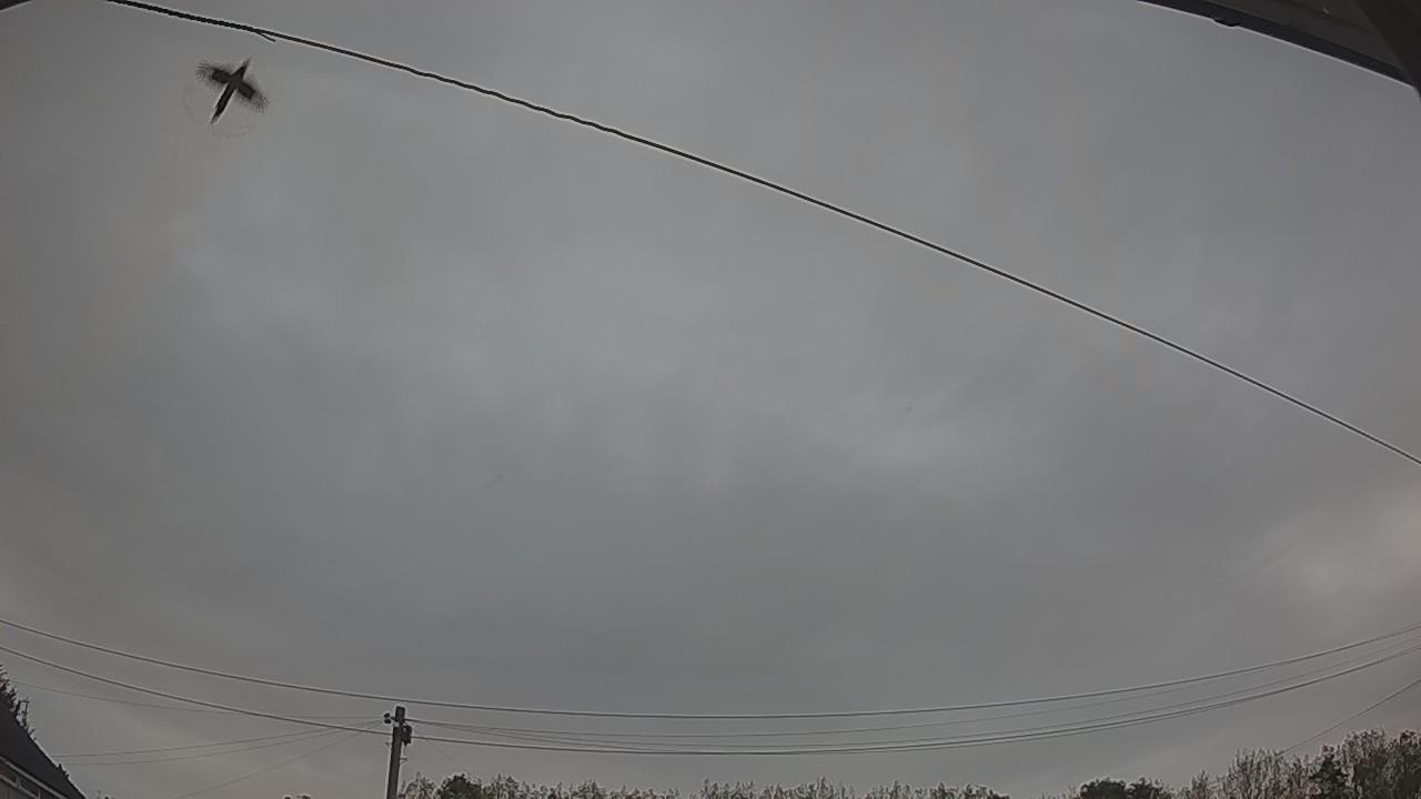 20260927_062124_cam2.jpg