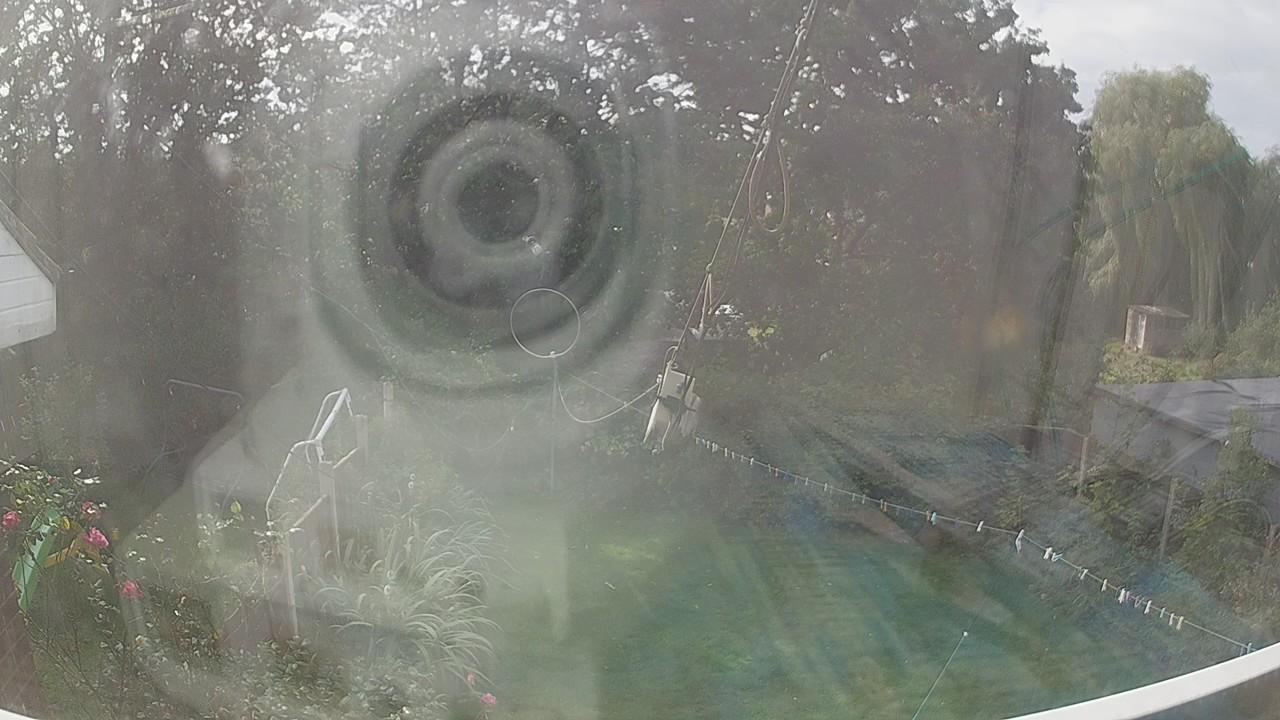 20260927_115635_cam1.jpg