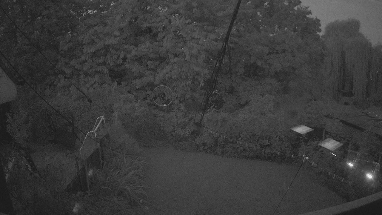 20260928_053101_cam1.jpg