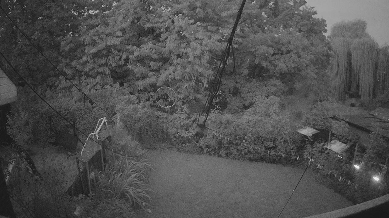 20260928_053537_cam1.jpg