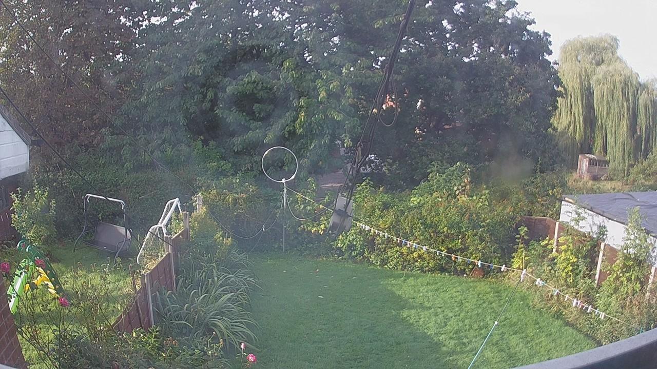20260928_080946_cam1.jpg