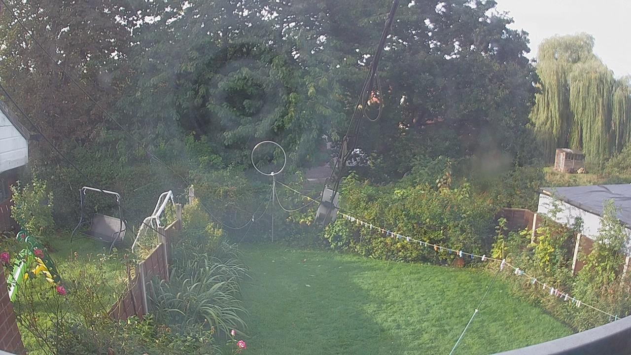 20260928_082401_cam1.jpg
