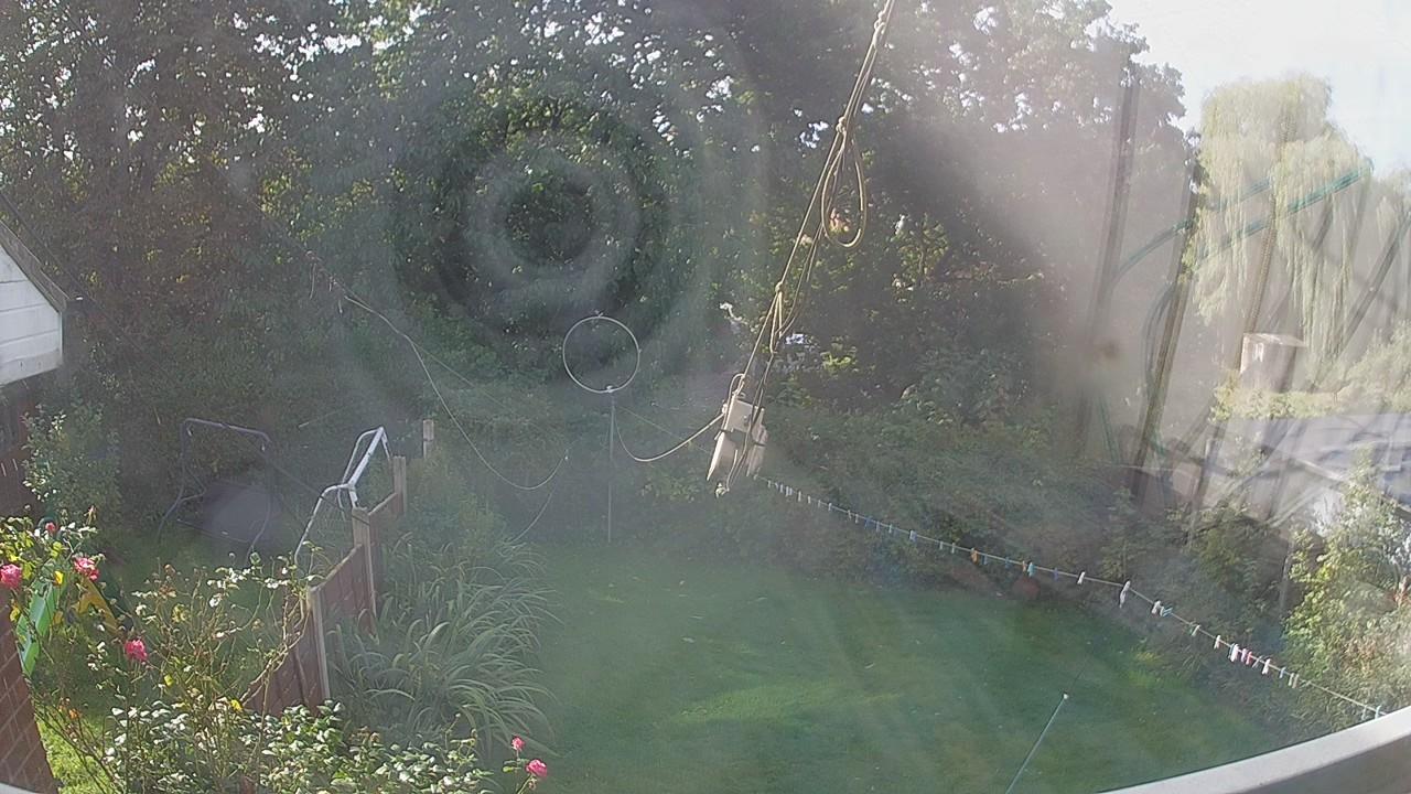 20260928_110246_cam1.jpg