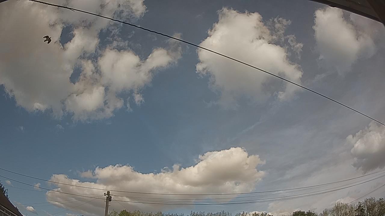 20260928_142310_cam2.jpg