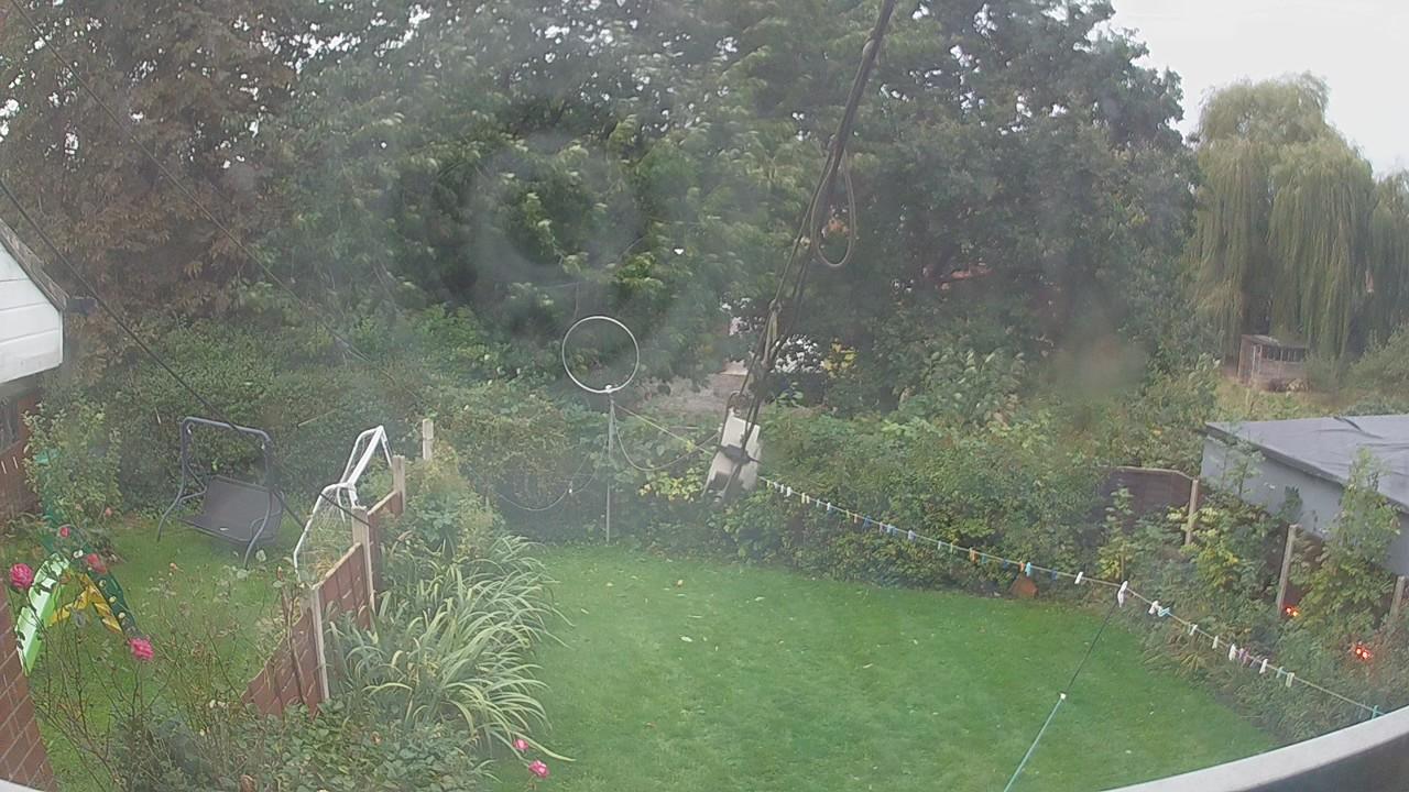 20260929_061943_cam1.jpg
