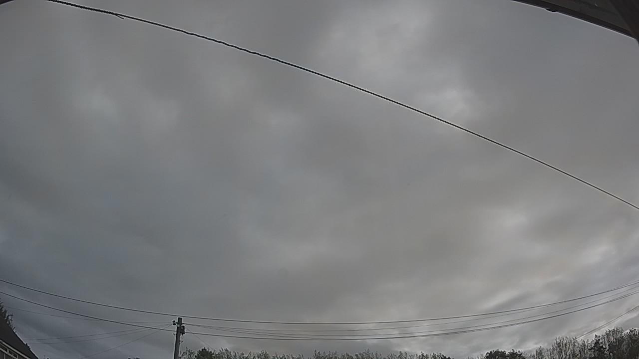 20260929_080035_cam2.jpg