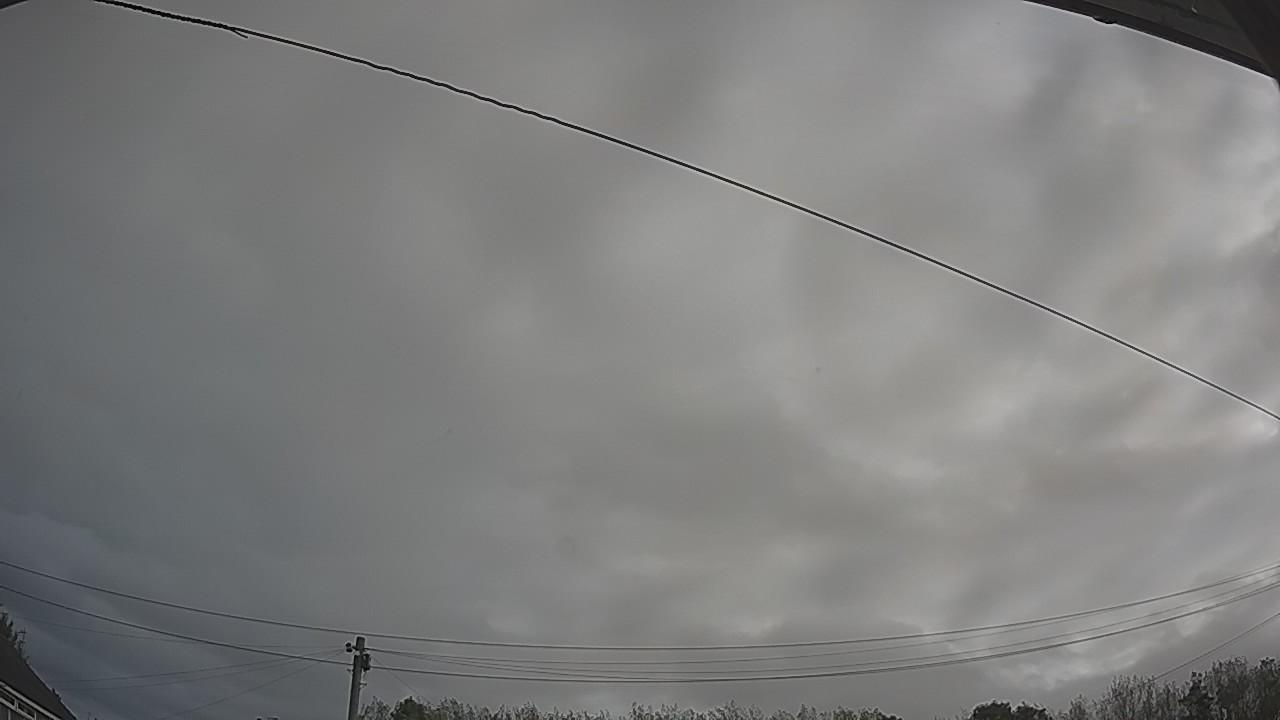 20260929_081330_cam2.jpg