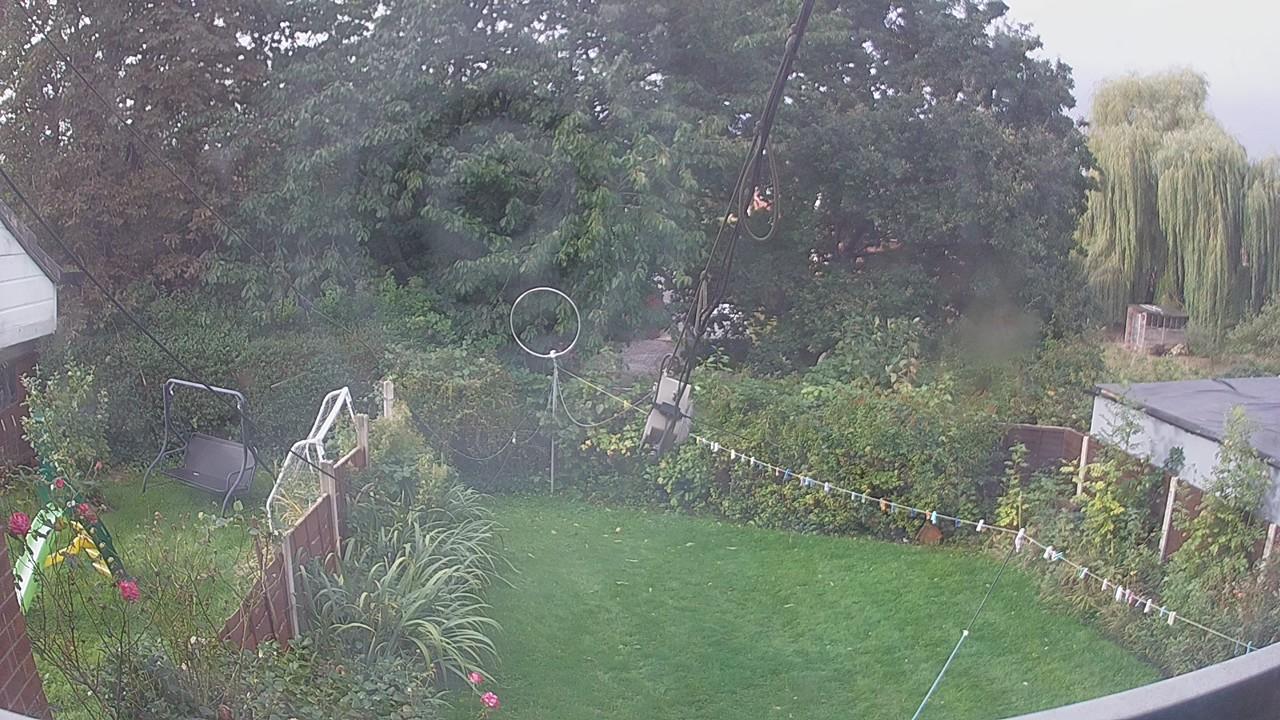 20260929_081747_cam1.jpg