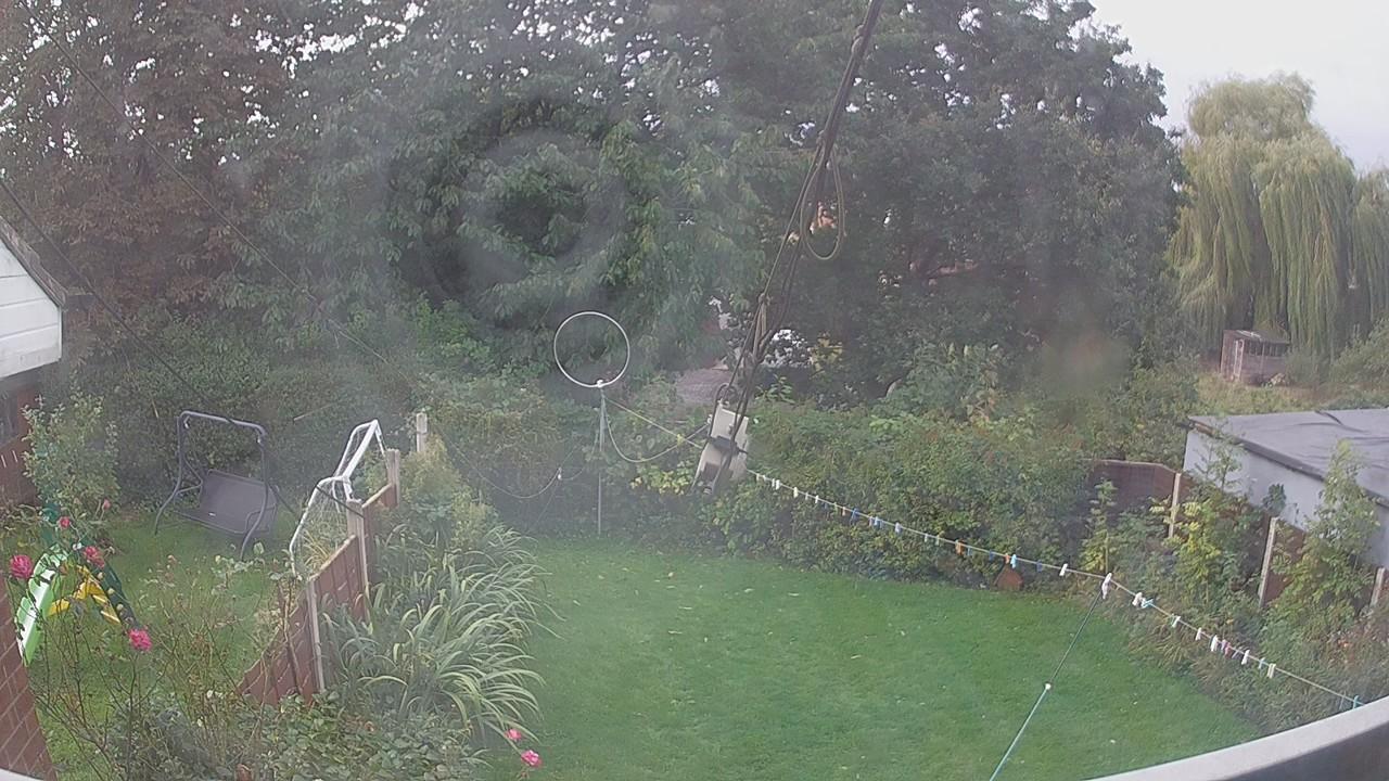 20260929_082205_cam1.jpg
