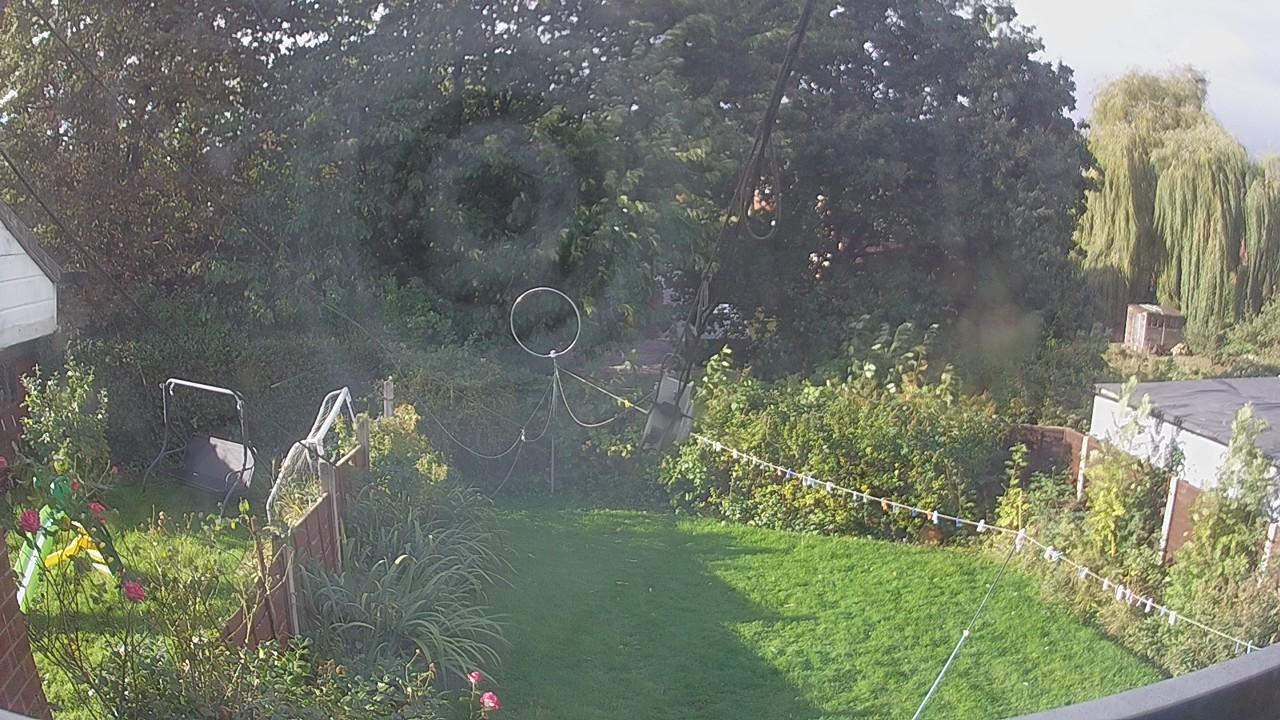 20260929_082623_cam1.jpg