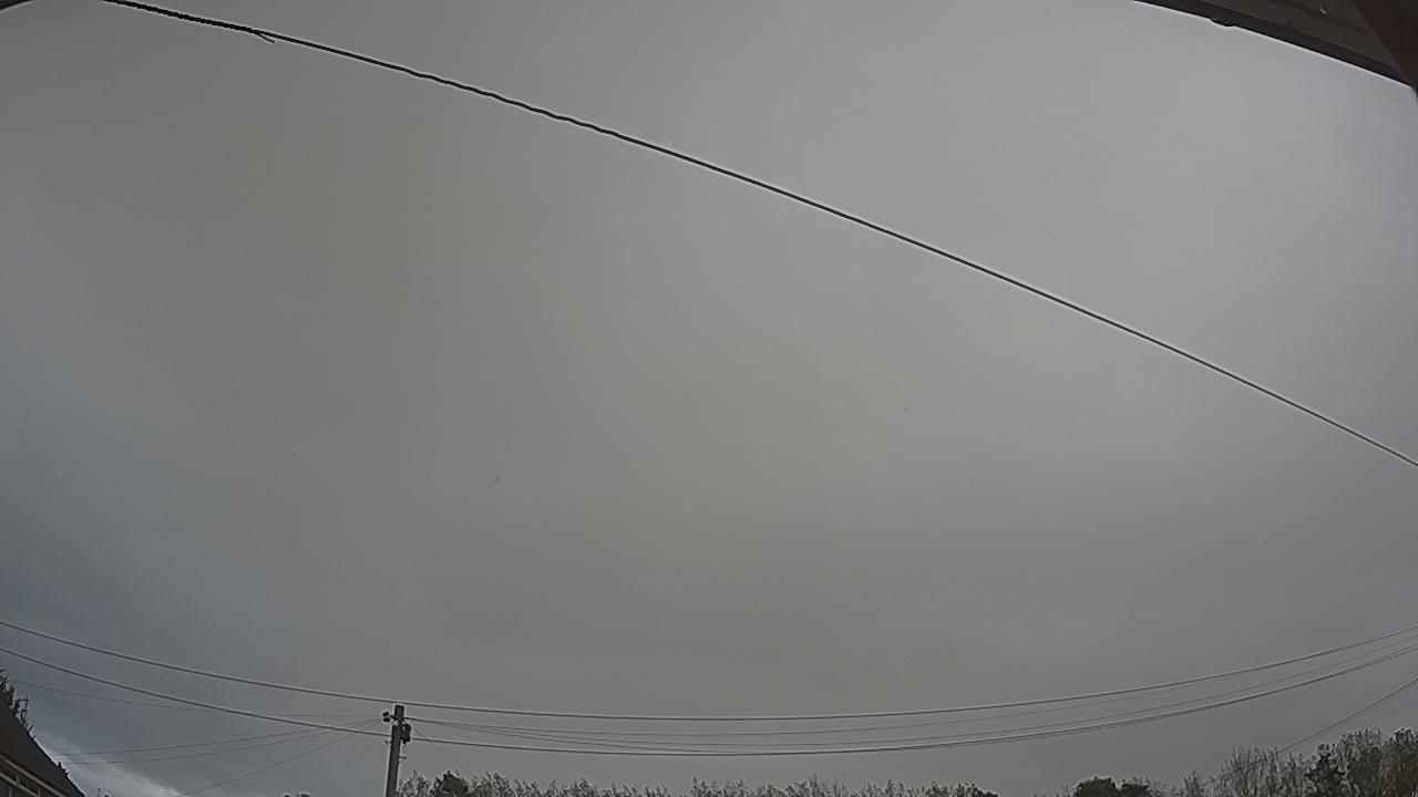 20260929_090724_cam2.jpg