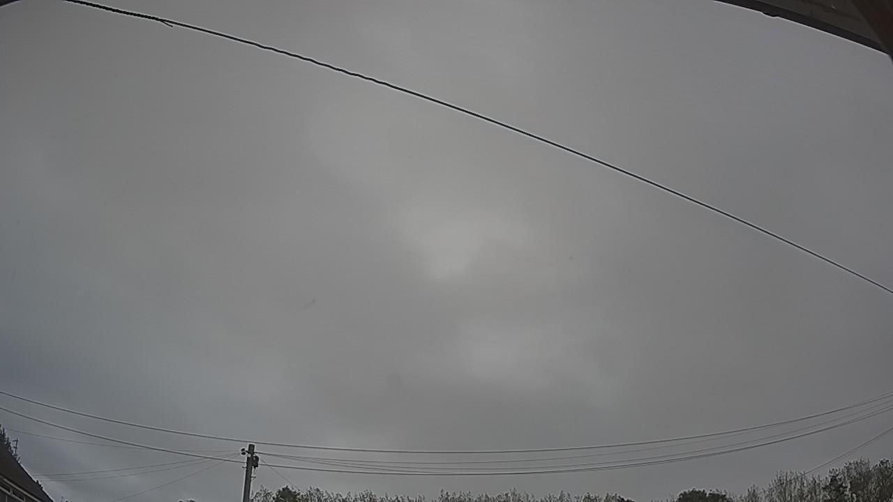 20260929_101150_cam2.jpg