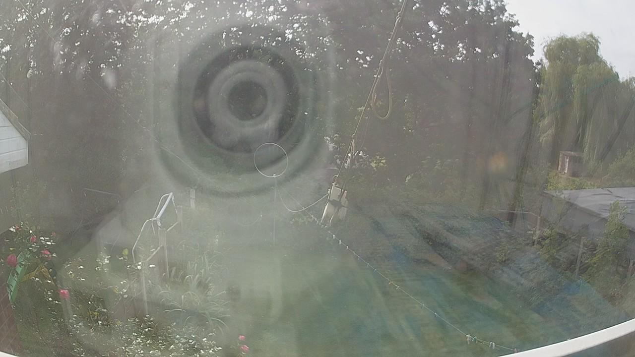 20260929_123741_cam1.jpg