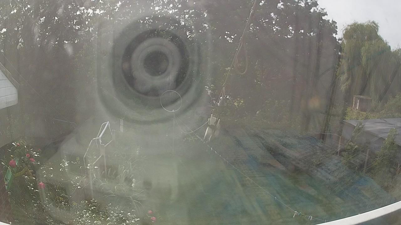 20260929_124150_cam1.jpg