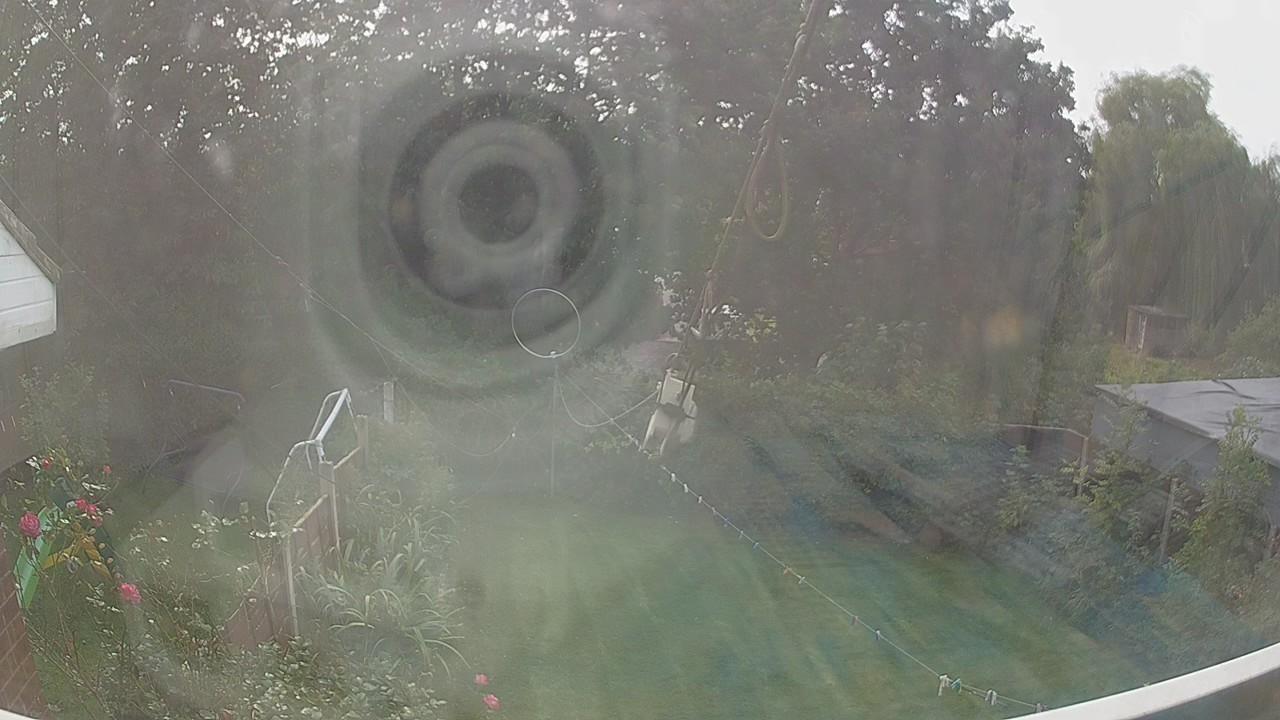 20260929_130200_cam1.jpg