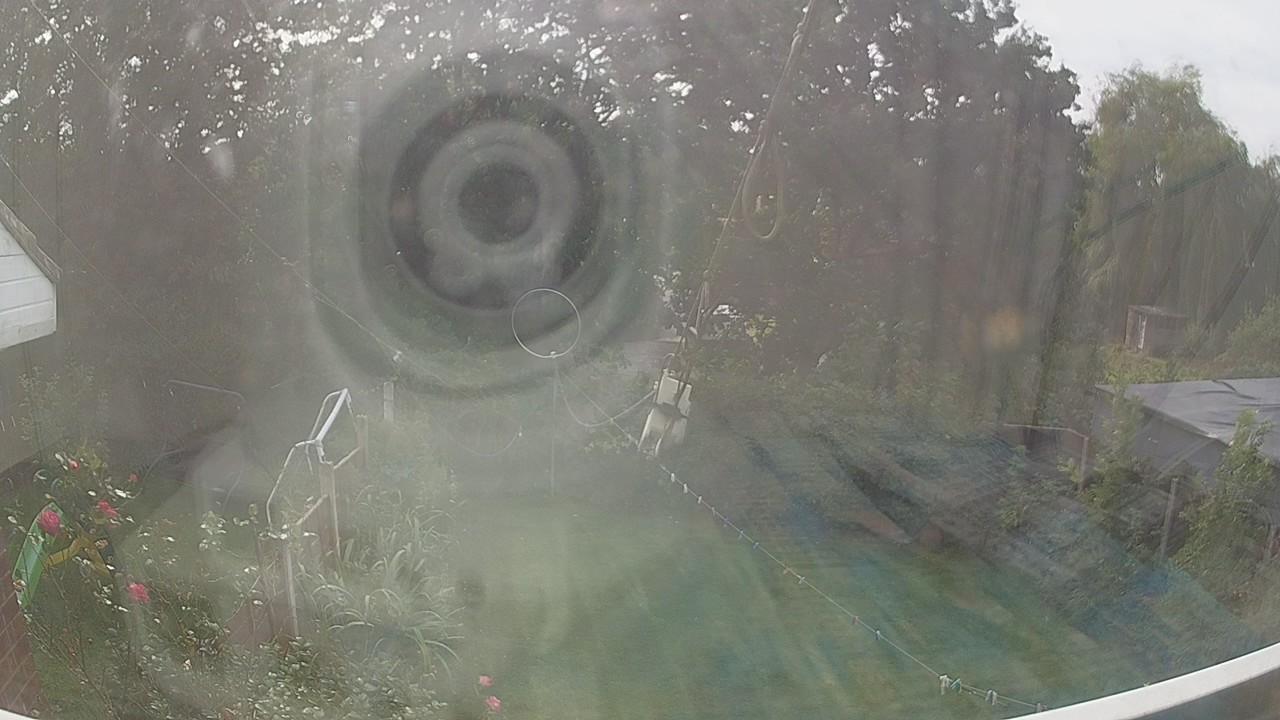 20260929_130551_cam1.jpg