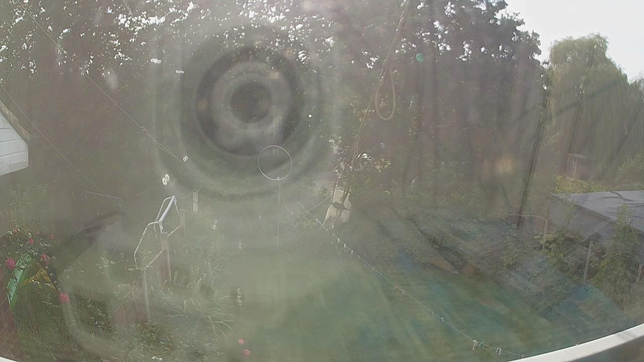20260929_134553_cam1.jpg