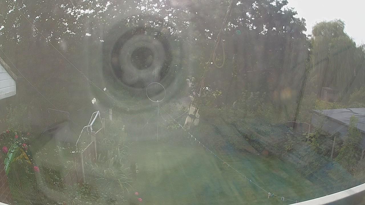20260929_135001_cam1.jpg