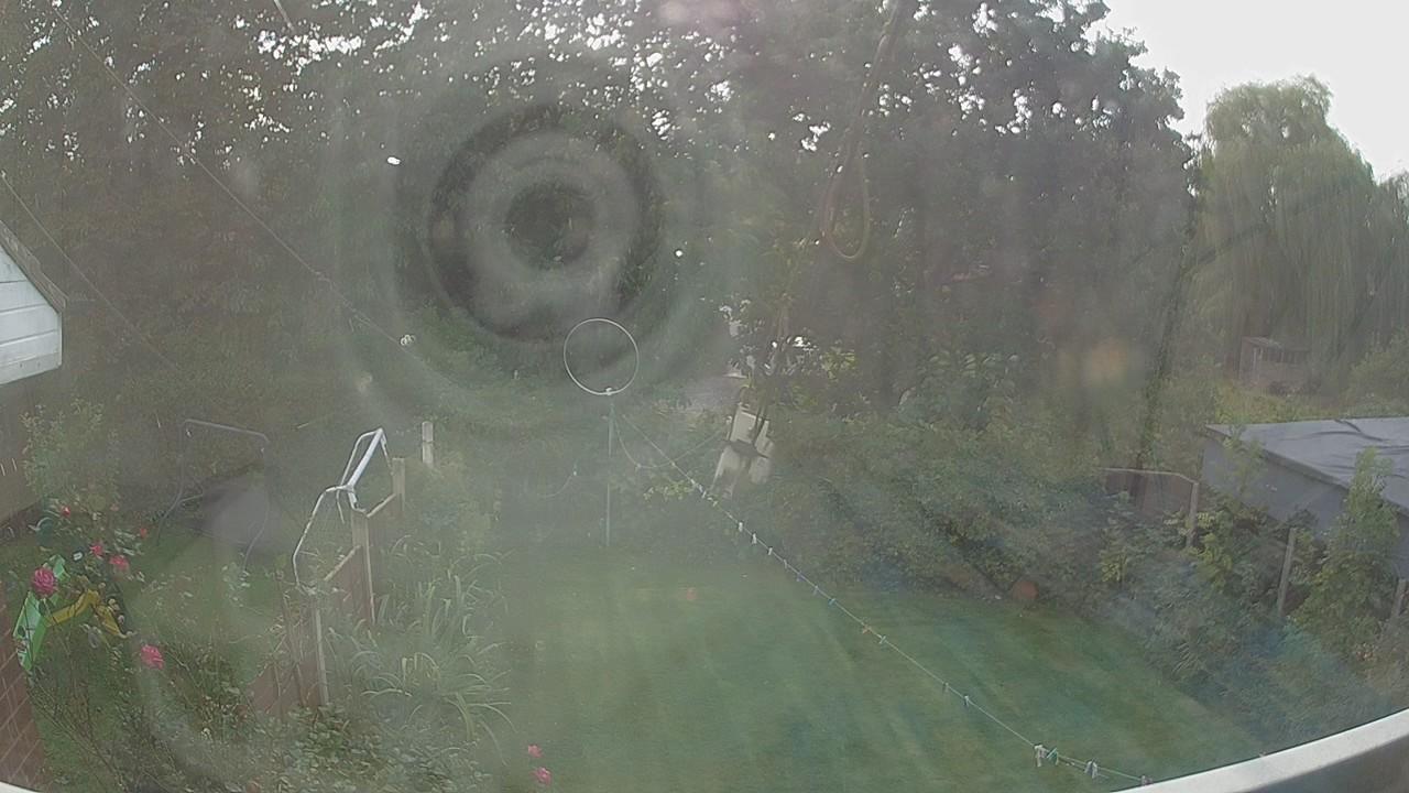 20260929_140601_cam1.jpg