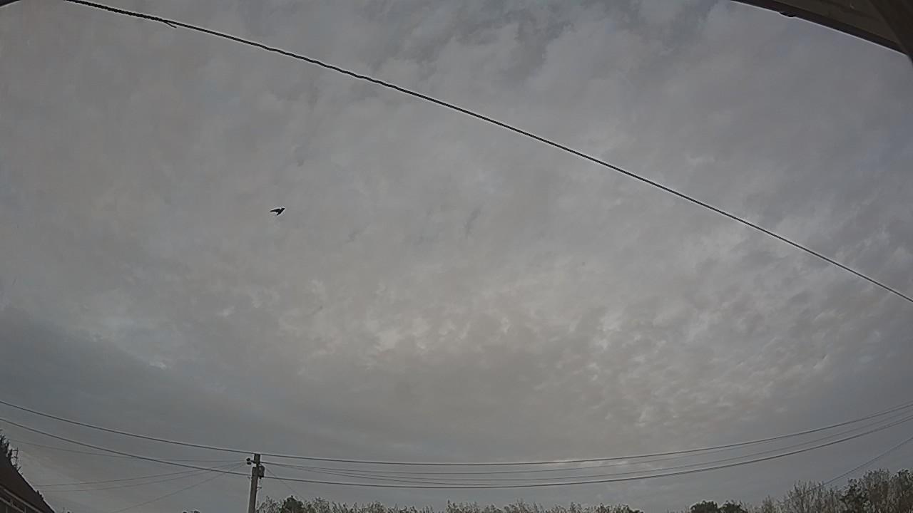 20260929_163251_cam2.jpg