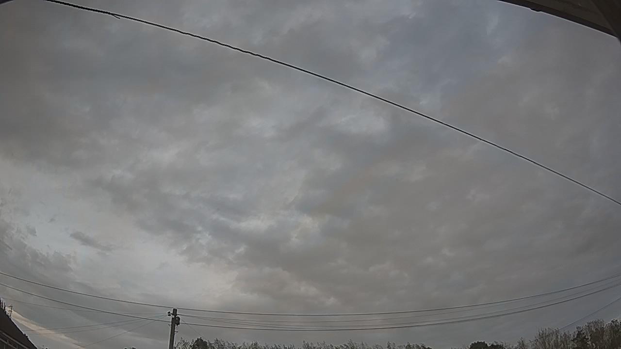 20260929_170542_cam2.jpg