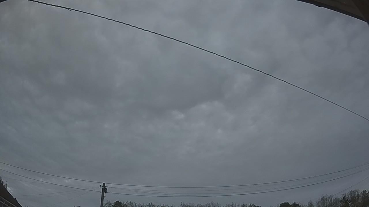 20260929_180302_cam2.jpg