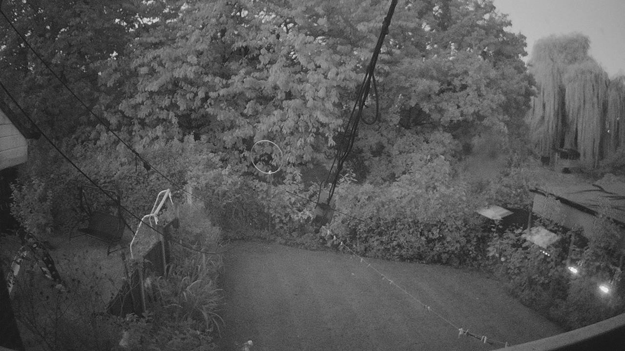 20261001_054133_cam1.jpg