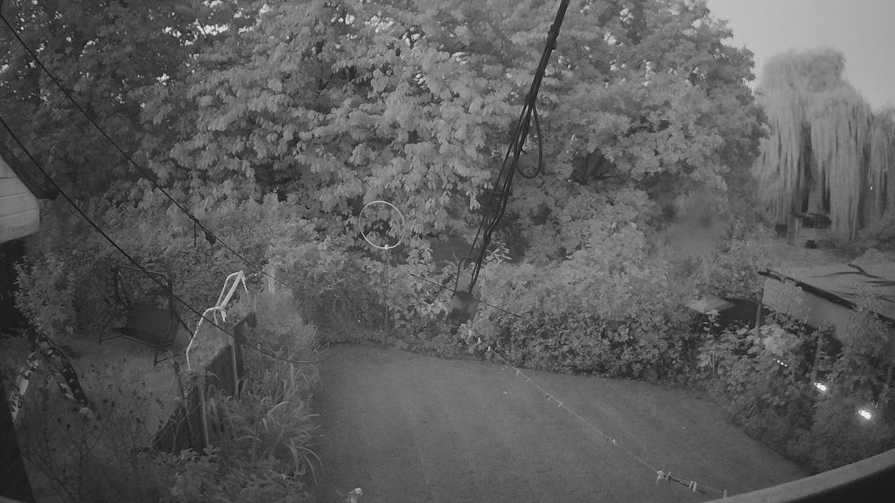 20261001_054609_cam1.jpg